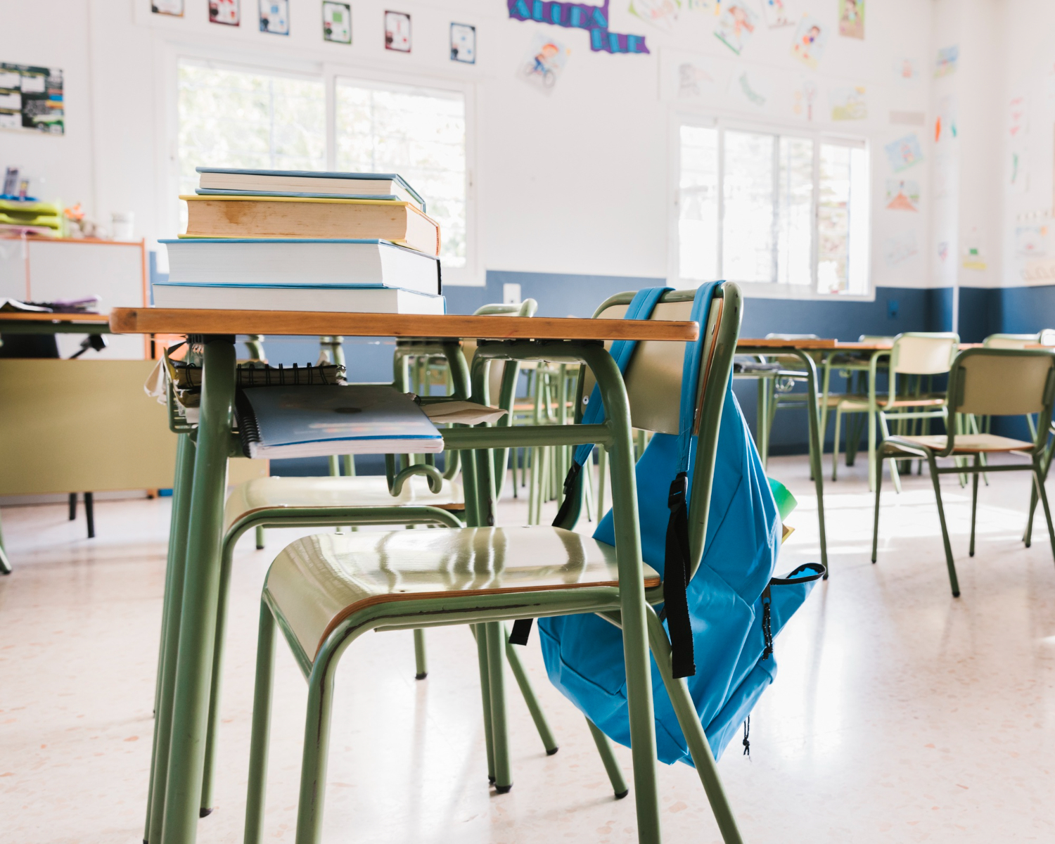 Calderas de Biomasa: Energía Limpia y Sostenibilidad en Colegios