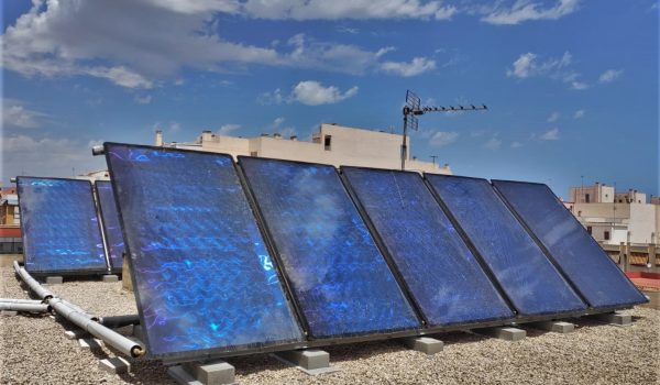 IMG-20200722-WA0004 (1)