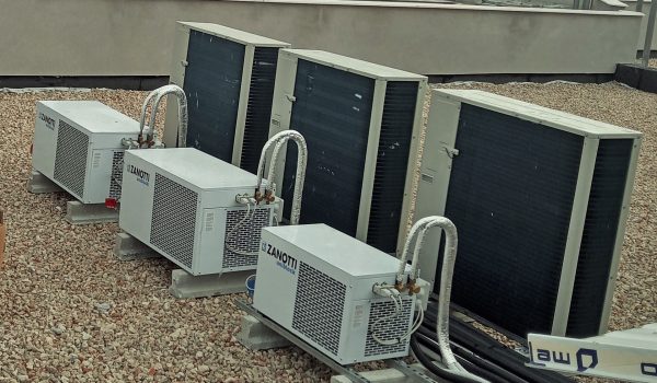 IMG_20220112_113238_4